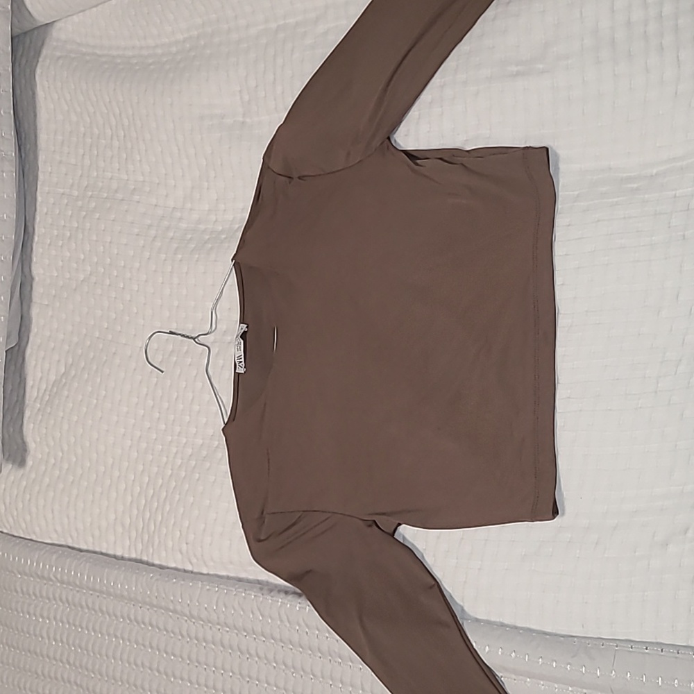 ZARA Taupe/Brown Long Sleeve Crop Top